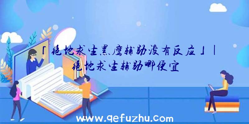 「绝地求生黑鹰辅助没有反应」|绝地求生辅助哪便宜